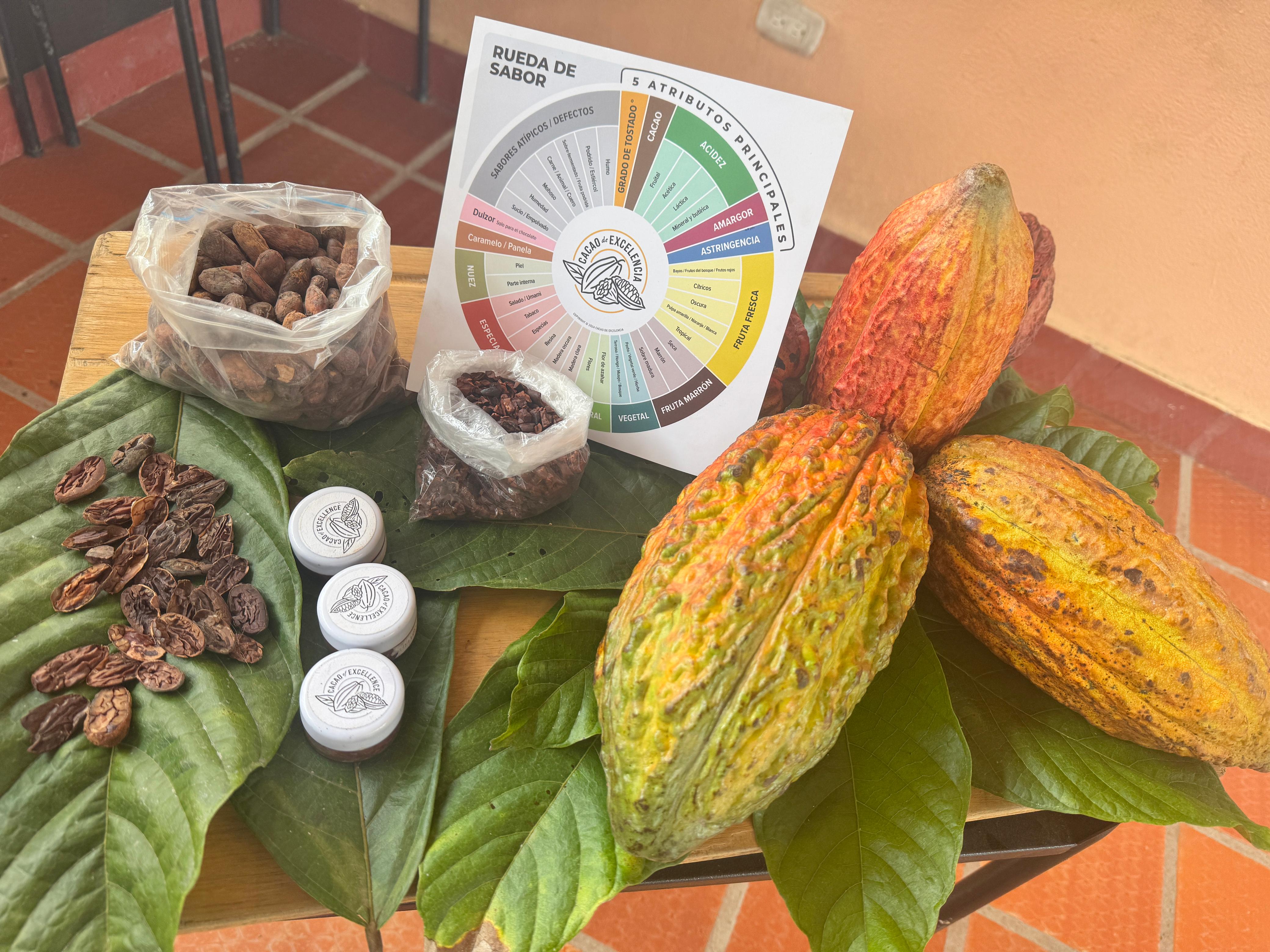 Participants during a Cacao of Excellence Origins Training